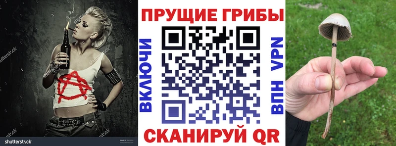 купить закладку  Наро-Фоминск  Галлюциногенные грибы Magic Shrooms 