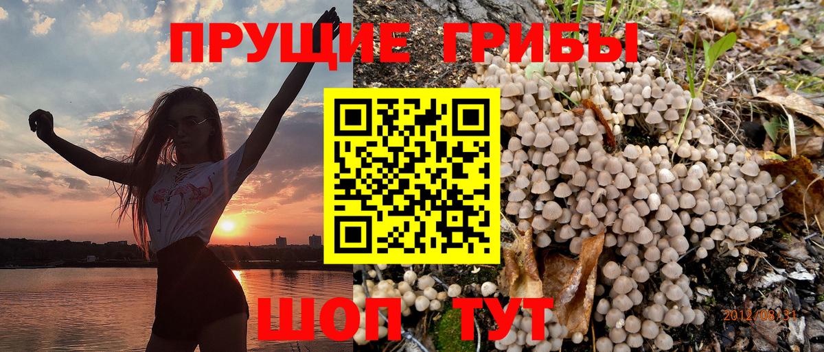 Галлюциногенные грибы GOLDEN TEACHER  Вход с VPN  Галлюциногенные грибы Psilocybine cubensis  Наро-Фоминск 